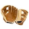 Gloves Mizuno Franchise Baseball 11.75" Glove (GFN1175B4)
