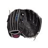 Wilson A450 12" Glove (WBW10017612) Gloves
